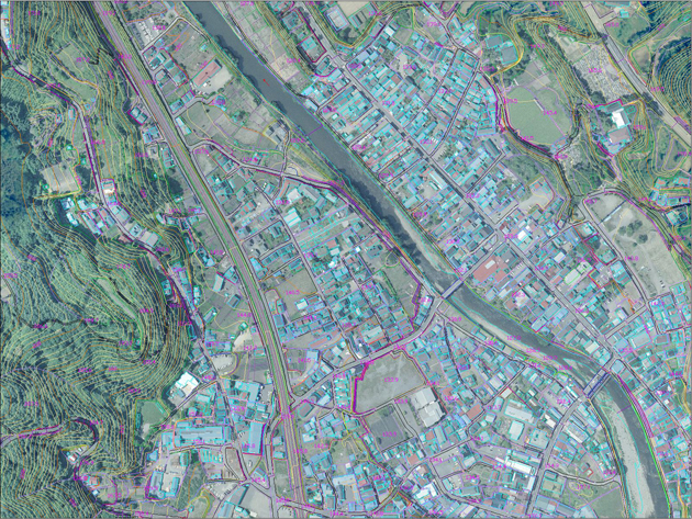 WAKUNI_spece08-2018